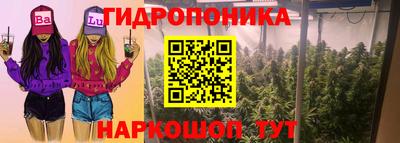 дживик Берёзовский