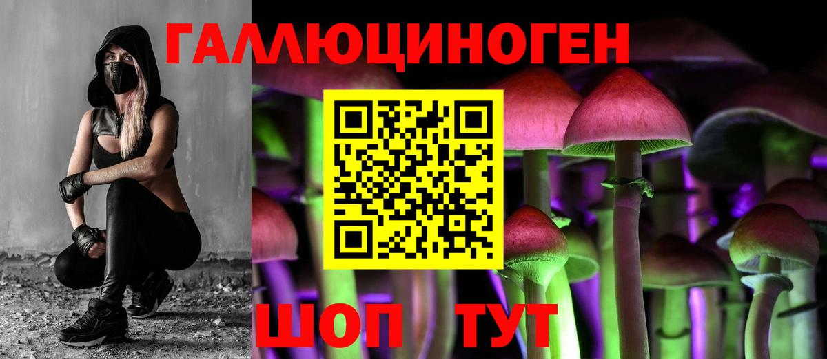 Галлюциногенные грибы мицелий Кохма