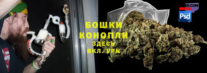 продажа наркотиков  Кохма  Канабис AK-47 